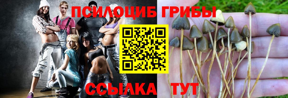 Псилоцибиновые грибы MAGIC MUSHROOMS Можайск